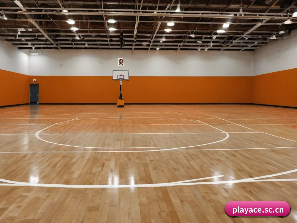 playace APP 界面